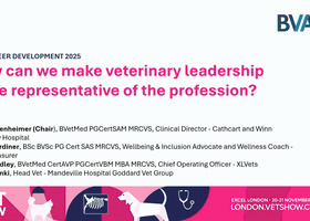 LVS 2025 Career Development: How can we make veterinary leadership more representative of the profession.jpg