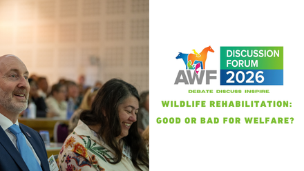 WILDLIFE REHABILITATION GOOD OR BAD FOR WELFARE .png