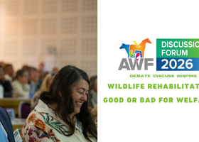 WILDLIFE REHABILITATION GOOD OR BAD FOR WELFARE .png
