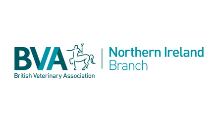 BVA NI branch - web image.png