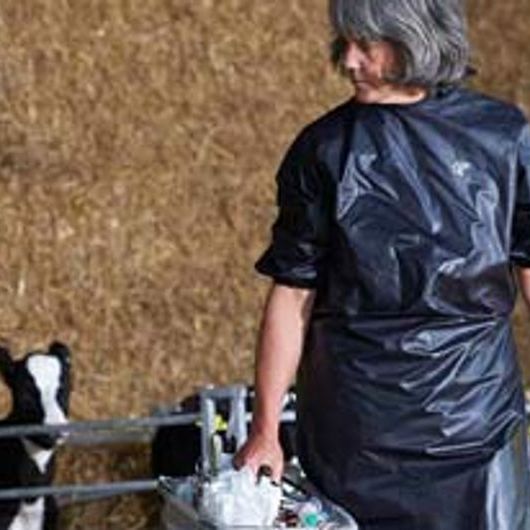 female-cattle-vet-and-cows.jpeg