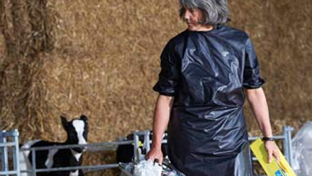 female-cattle-vet-and-cows.jpeg