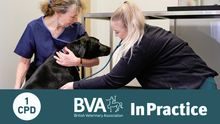 Event listing with in practice (1).png