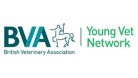 YVN logo.png