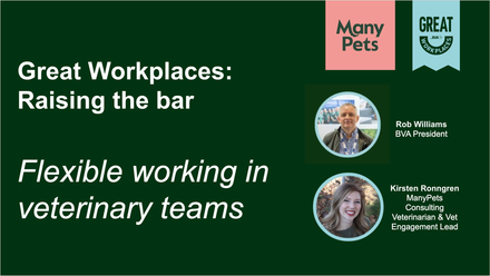 Great Workplaces - Raising the bar.png