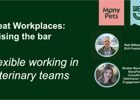 Great Workplaces - Raising the bar.png