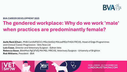 LVS 2025 Career Development: The gendered workplace - why do we work 'male' when practices are predominantly female?.jpg