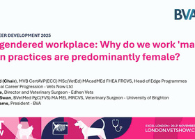 LVS 2025 Career Development: The gendered workplace - why do we work 'male' when practices are predominantly female?.jpg
