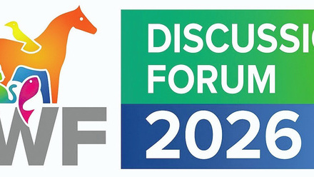 AWF_DiscussionForum_Logo_2026-HQ-scaled-1-e1762956795674.jpeg