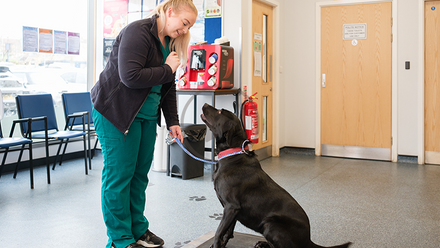 dog and nurse - cpd.png