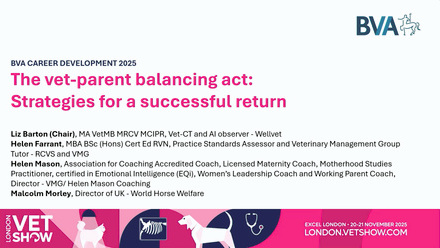 LVS 2025 Career Development: The vet-parent balancing act - strategies for a successful return.jpg