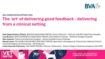 LVS 2025 Career Development: The 'art' of delivering good feedback - delivering from a clinical setting.jpg