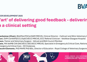 LVS 2025 Career Development: The 'art' of delivering good feedback - delivering from a clinical setting.jpg