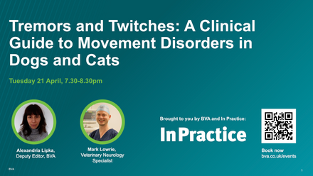 Tremors and Twitches webinar.png