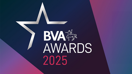BVA Awards 2025 web image.png