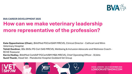 LVS 2025 Career Development: How can we make veterinary leadership more representative of the profession.jpg