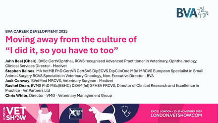 LVS 2025 Career Development: Moving away from the culture of 