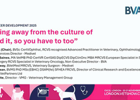 LVS 2025 Career Development: Moving away from the culture of 