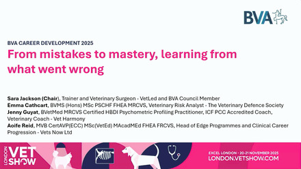 LVS 2025 Career Development: From mistakes to mastery, learning from what went wrong.jpg