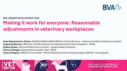 LVS 2025 Career Development: Making it work for everyone - reasonable adjustments in veterinary workplaces.jpg