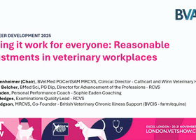 LVS 2025 Career Development: Making it work for everyone - reasonable adjustments in veterinary workplaces.jpg