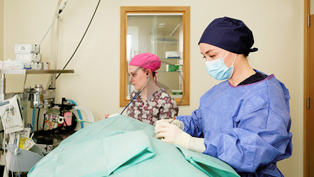 cpd sustainable surgery and use of consumables.png