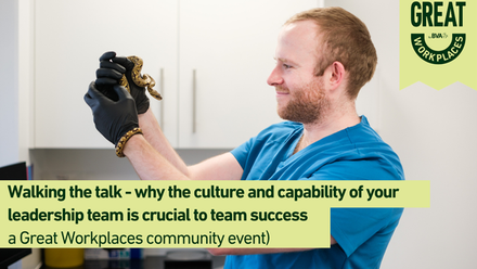 Walking the talk - why the culture and capability of your leadership team is crucial to team success  .png 1