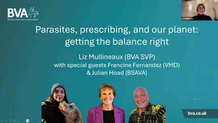 January webinar .jpg