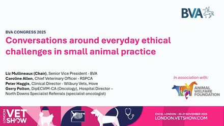 LVS 2025 BVA Congress Conversations around everyday ethical challenges in small animal practice.jpg