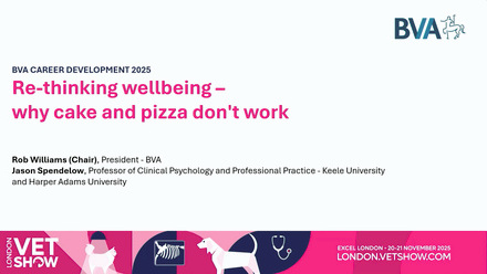 LVS 2025 Career Development: Re-thinking wellbeing - why cake and pizza don't work.jpg