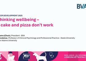 LVS 2025 Career Development: Re-thinking wellbeing - why cake and pizza don't work.jpg