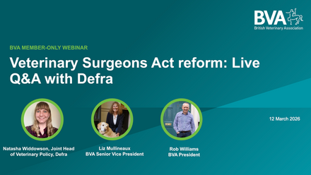 Screenshot 2026-03-13 at 10.19.56.png