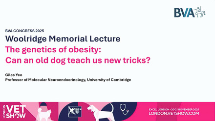 LVS 2025 BVA Congress: Wooldridge Memorial Lecture - The genetics of obesity - can an old dog teach us new tricks.jpg