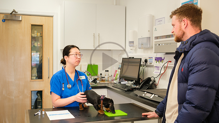 owner vet and dog.png