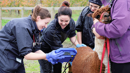cpd culture as a team.png