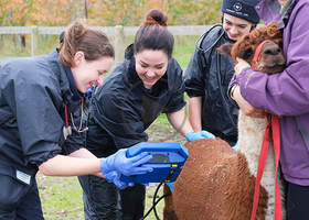 cpd culture as a team.png