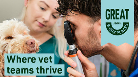 mentoring matters PR pic.jpg